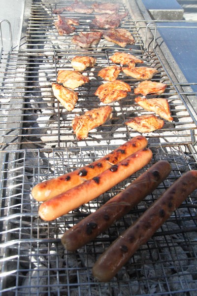 Terrebrune BBQ Winter Pool Party